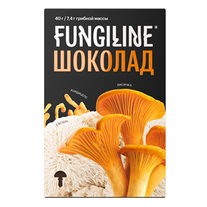 Грибной шоколад 1739